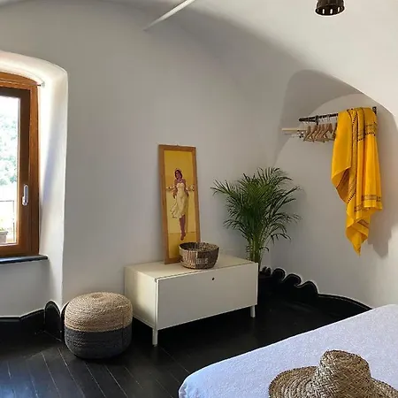Casa Gecko *